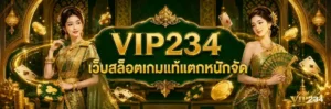 vip234 เข้าสู่ระบบ
