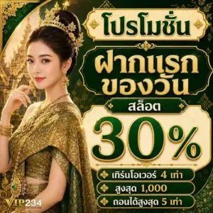 vip234 โปรโมชั่น