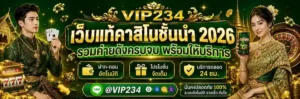 vip234 ล่าสุด